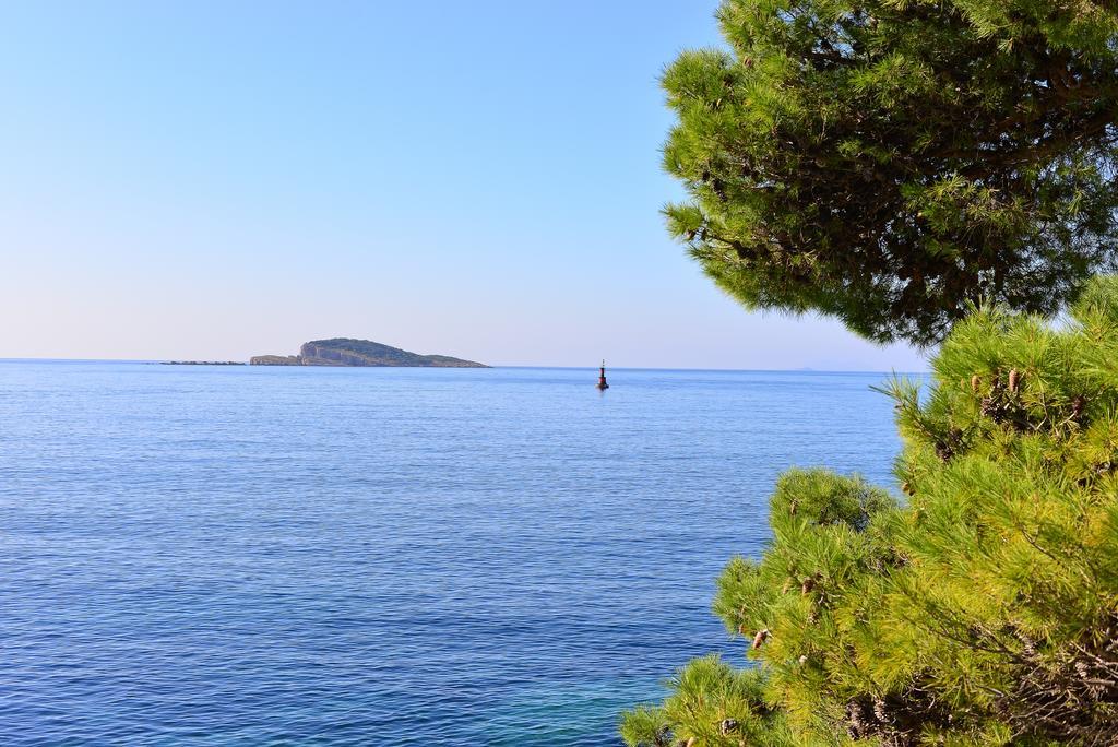 A&M Cavtat Family Apartment - 3 Bedrooms And Free Parking Kültér fotó